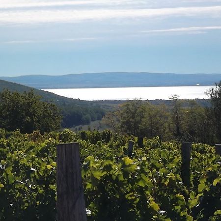 Balatoncsicso Juhfark Fogado Es Borhaz Bed & Breakfast エクステリア 写真