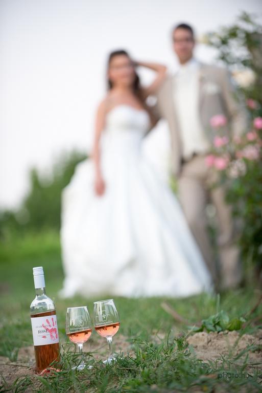 Balatoncsicso Juhfark Fogado Es Borhaz Bed & Breakfast エクステリア 写真