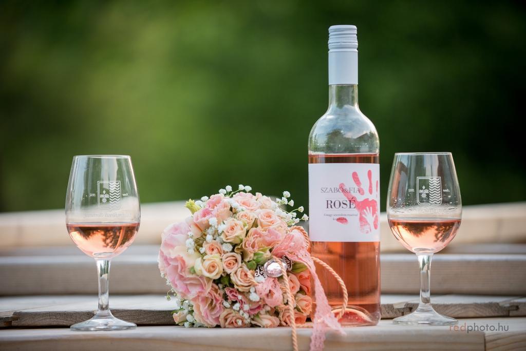 Balatoncsicso Juhfark Fogado Es Borhaz Bed & Breakfast エクステリア 写真