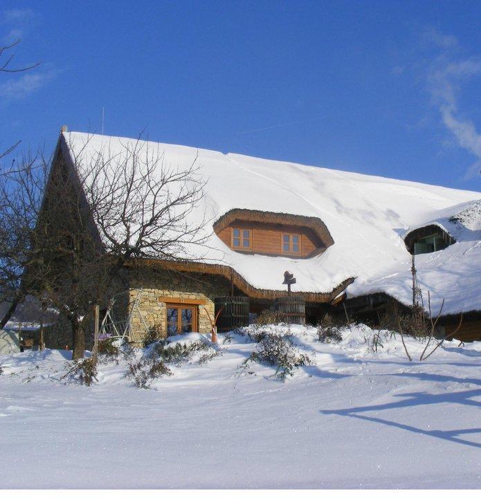 Balatoncsicso Juhfark Fogado Es Borhaz Bed & Breakfast エクステリア 写真