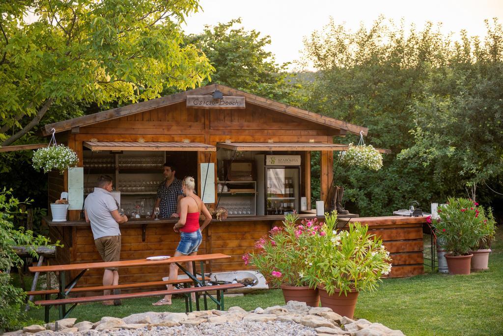 Balatoncsicso Juhfark Fogado Es Borhaz Bed & Breakfast エクステリア 写真