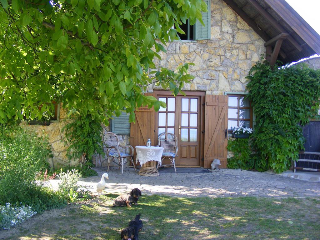Balatoncsicso Juhfark Fogado Es Borhaz Bed & Breakfast エクステリア 写真
