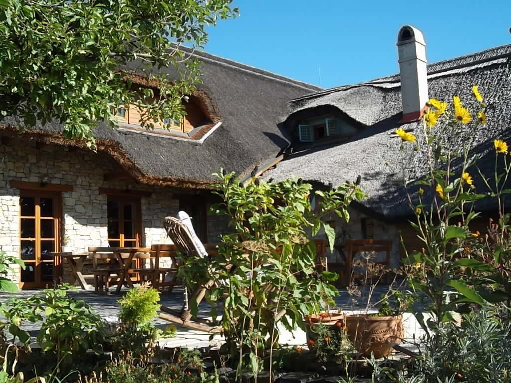 Balatoncsicso Juhfark Fogado Es Borhaz Bed & Breakfast エクステリア 写真