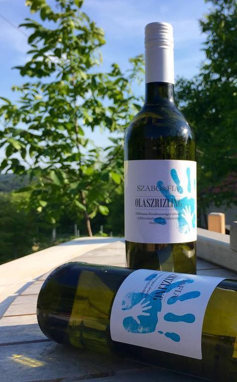 Balatoncsicso Juhfark Fogado Es Borhaz Bed & Breakfast エクステリア 写真